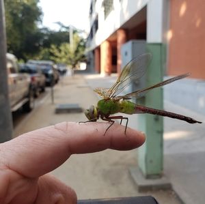 Meet your Posher, Elaine